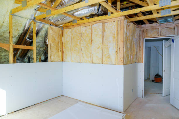 Best Affordable Insulation Services  in Richardson, TX