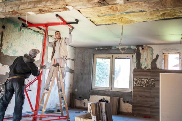 Professional Insulation Contractor in Richardson, TX