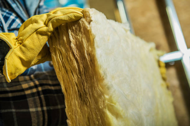 Best Attic Insulation Installation  in Richardson, TX