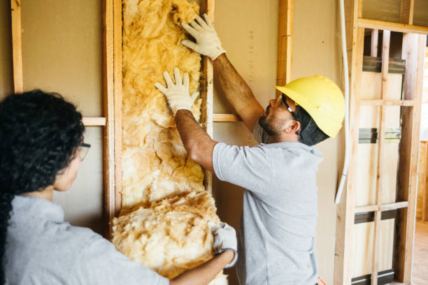 Best Local Insulation Services  in Richardson, TX