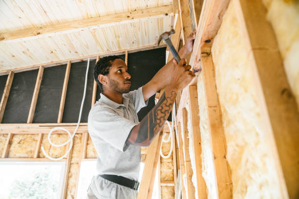 Best Insulation Contractor Near Me  in Richardson, TX