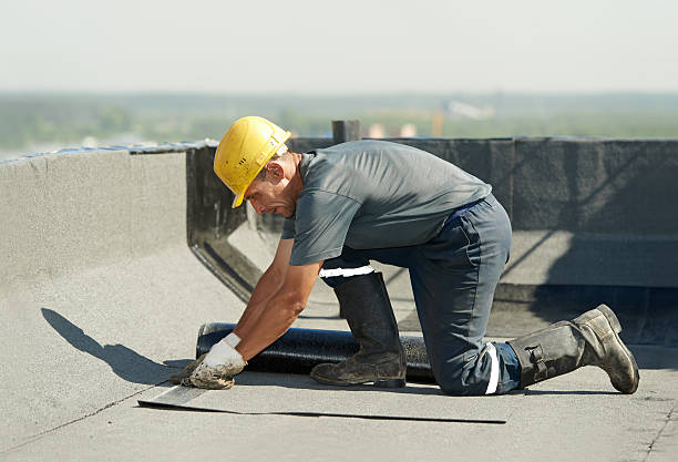 Best Insulation Replacement Services  in Richardson, TX